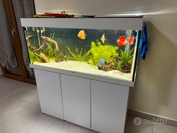 Acquario Juwel Rio 240 COMPLETO