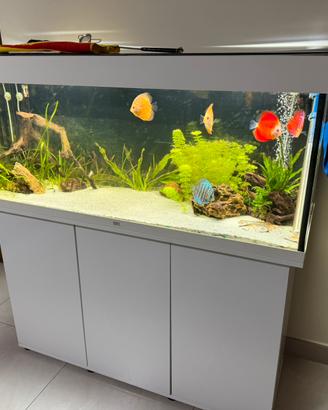 Acquario Juwel Rio 240 COMPLETO