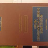 Manuale breve di diritto internazionale privato
