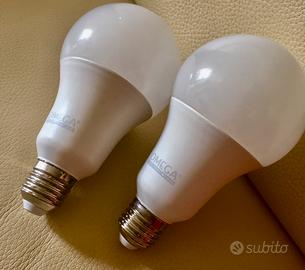 Due lampadine al Led Omega