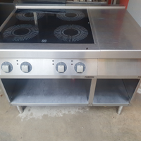 Cucina professionale induzione zanussi