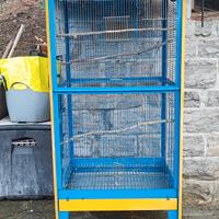 voliera gabbia uccelli 