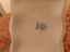 Immagine 5