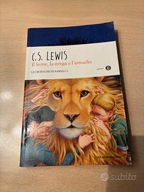 Libro per ragazzi "Le cronache di Narnia" di Lewis