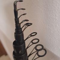 Canna da pesca bolognese