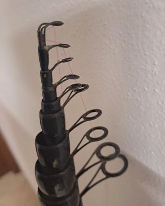 Canna da pesca bolognese