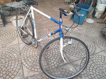 Atala vintage 