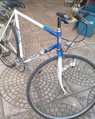 Atala vintage 