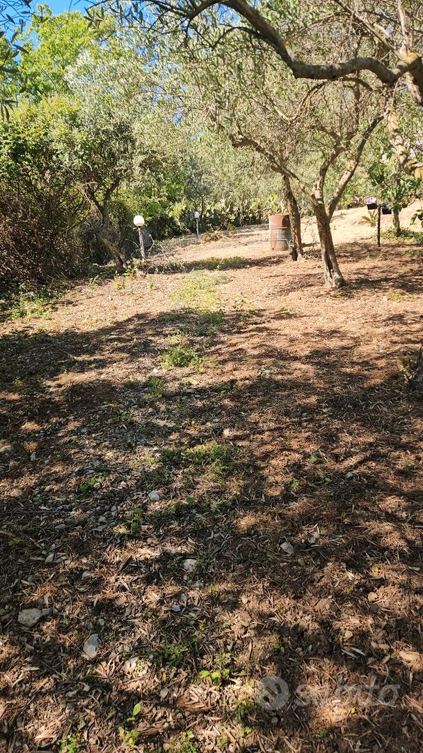 Terreno 1800mq - Vista 2