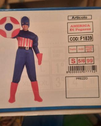 vestito di carnevale 