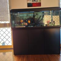 Acquario da 350 lt completo di filtri, luci,mobile