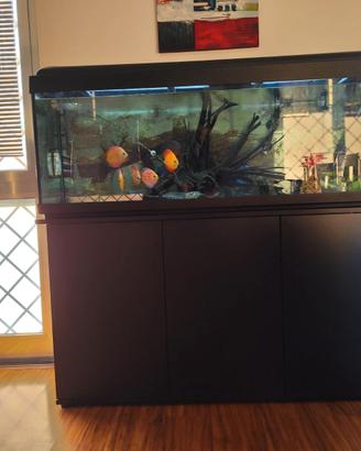 Acquario da 350 lt completo di filtri, luci,mobile