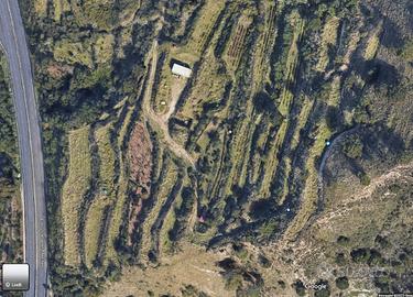 Area 60.000 mq in territorio rurale periurbano