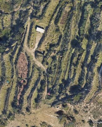 Area 60.000 mq in territorio rurale periurbano