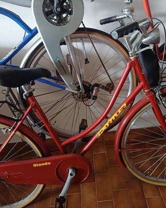 Bicicletta olandese