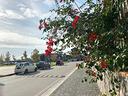 4-locali-a-acerra