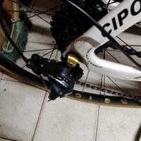 Bici Cipollini in carbonio 