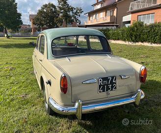 Fiat 1100 103 D