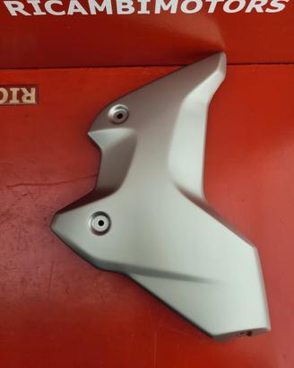 FIANCHETTO COPRI RADIATORE BMW R1200GS R1250GS LC