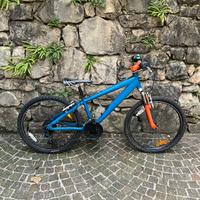 Bicicletta da bambino