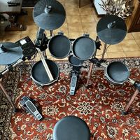 Alesis Surge Mesh Kit