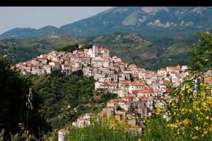 Trattoria/pizzeria/bar