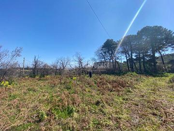 Proponiamo grande appezzamento panoramico di terre