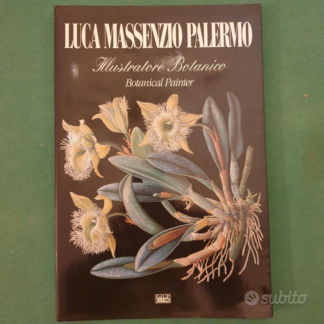 Libro L'Isola di Arturo, Elsa Morante - Libri e Riviste In vendita a Palermo