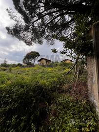 Terreno Edificabile - Mascalucia