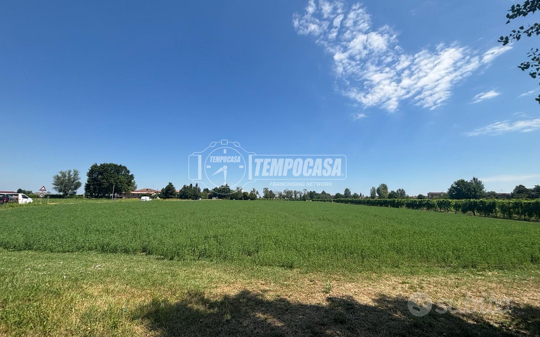 TERRENO AGRICOLO A SOLERA - Vista 4