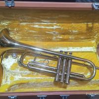 Tromba parrot anni 80 completo di custodia rigida