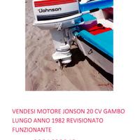 Motore fuoribordo jonson