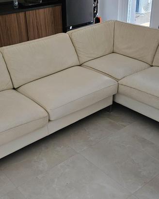 Divanidea pelle bianco