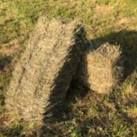 Balle di fieno quadrate