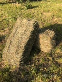 Balle di fieno quadrate