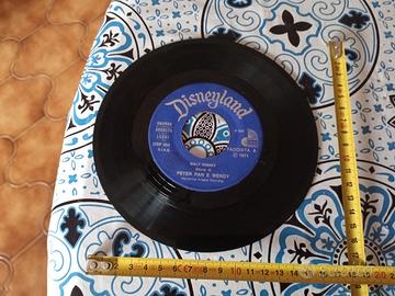 Vinile = Disneyland DSP 304