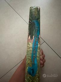 Geronimo Stilton