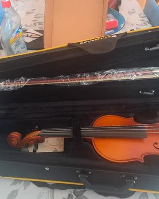 violino  