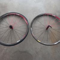 Ruote Roval carbonio