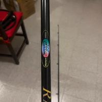 canna da pesca carpfishing 