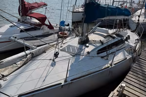 barca  a vela zigurrat 916