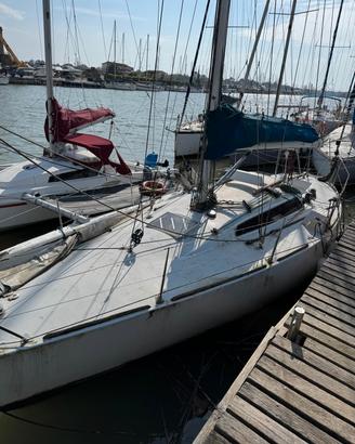 barca  a vela zigurrat 916