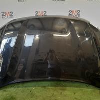 COFANO ANTERIORE DACIA Duster Serie 651008347R (17