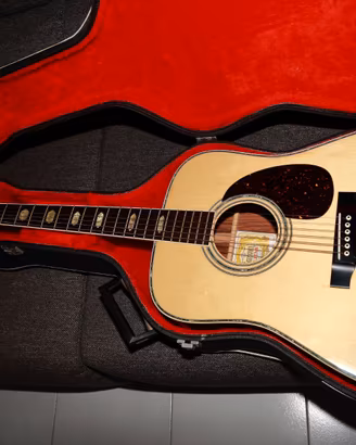 Chitarra Acustica Suzuki Three'S EST 1887 - W300