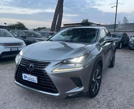 LEXUS NX 300h 2.5h LUXURY 4WD 197cv(222) TETTO P