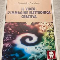 Il video. L’immagine elettronica creativa Amaducci