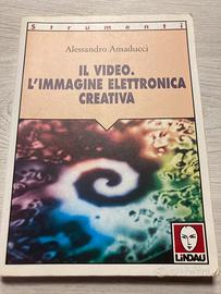 Il video. L’immagine elettronica creativa Amaducci