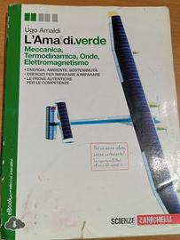 L' Amaldi.verde
