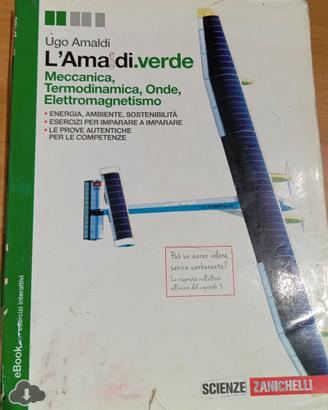 L' Amaldi.verde