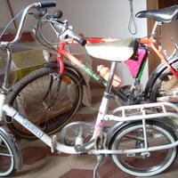 Graziella Carnielli 16' anni '60 e Bottecchia '90